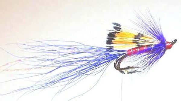 Ally's Purple Salmon Double #14