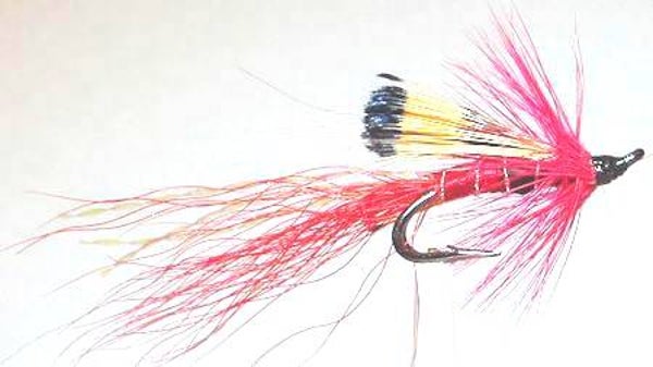 Ally's Red Salmon Double #14