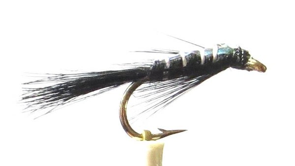 Diawl Bach Black Flashback #12