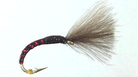 Black Red CDC