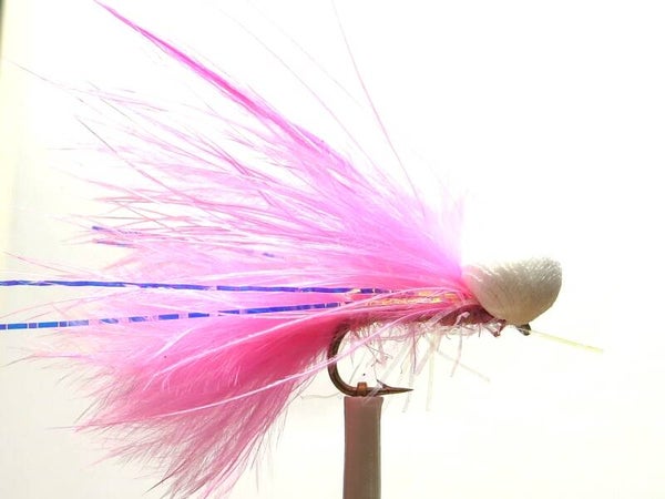 Booby Pink Blue Flash #10
