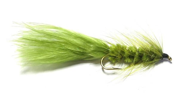 Bugger Olive #6