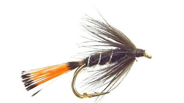 Black Pennel #14