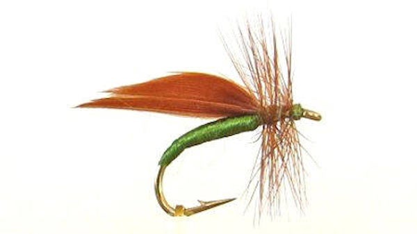 Cinnamon Sedge #14
