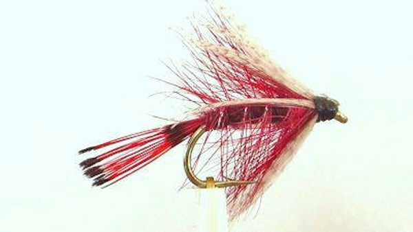 Claret Bog Bumble #10