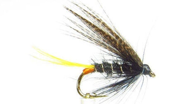 Connemara Black #14