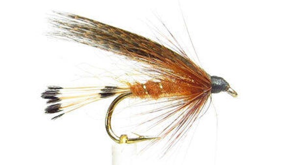 Fiery Brown #14