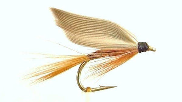 Ginger Quill #12