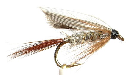 Gold Ribbed Haresear #12