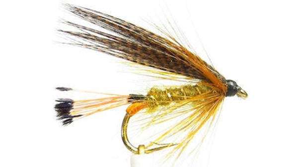 Golden Olive #10