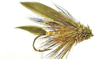Muddler Olive Gold #10