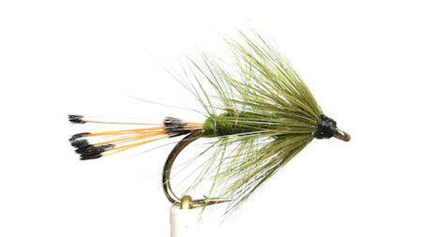 Olive Bumble #12