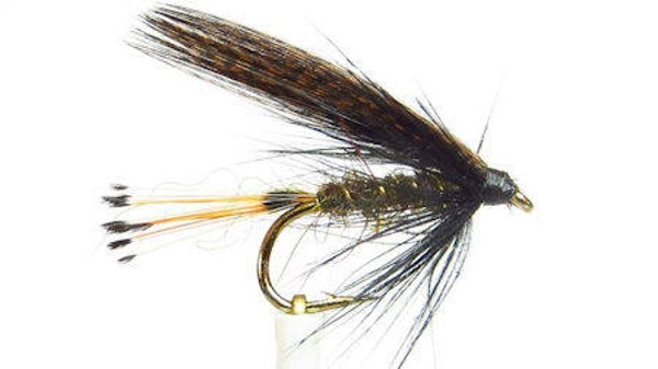Sooty Olive #14
