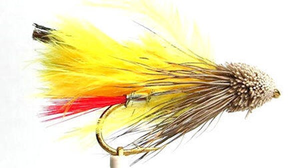 Streamer Sunburst #8