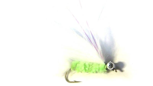 Cats Whisker #10