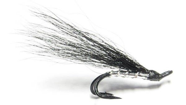 Collie Dog Salmon Double 14