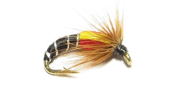 Corrib