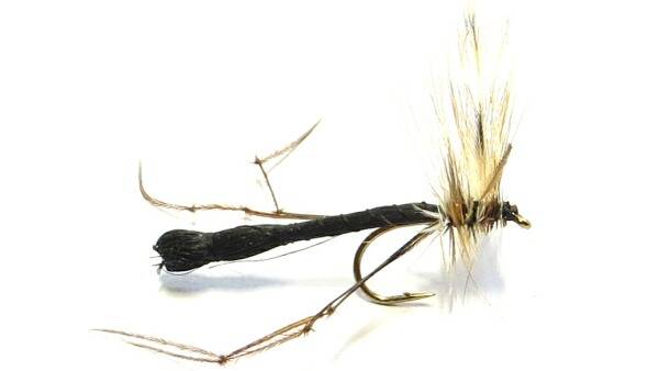 Daddy Longlegs Detached Black #10