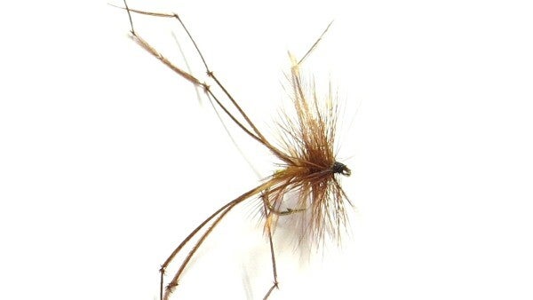 Daddy Longlegs Natural #14