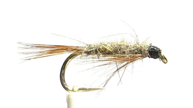 Diawl Bach Haresear 10