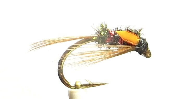Diawl Bach Orange Cheeks 10