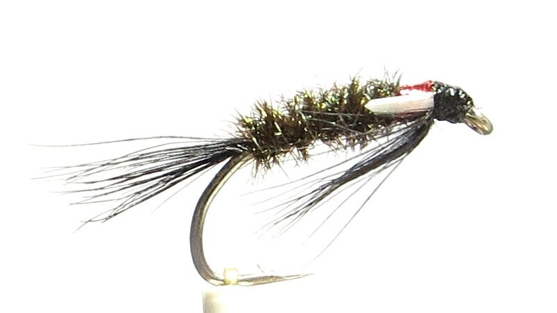 Diawl Bach White Cheeks 10