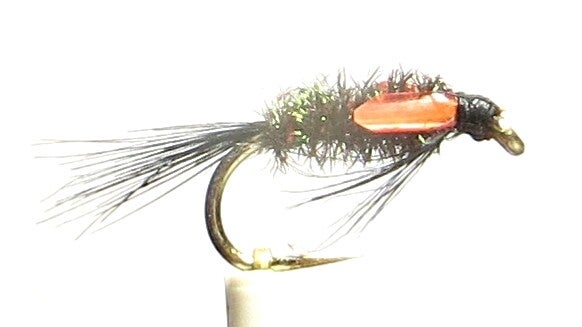 Diawl Bach Orange Cheeks 12