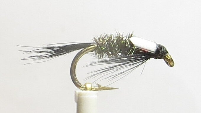 Diawl Bach White Cheeks 12