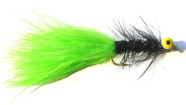 Dog Nobler Black Lime #10
