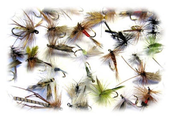 Special Offer 24 Mixed Dry Flies