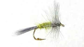 Blue Winged Olive #12