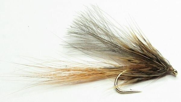 Fiery Brown CDC Hedgehog #10