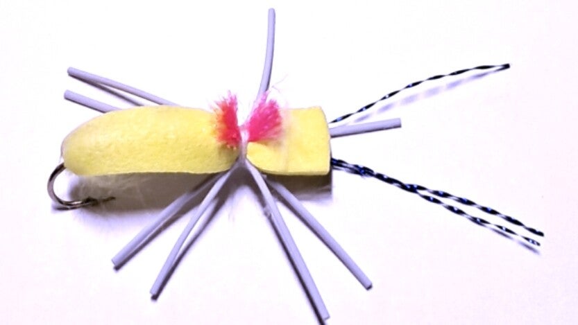 Foam Beetle Yellow #10