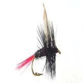 fp-dry-14-standard.jpg