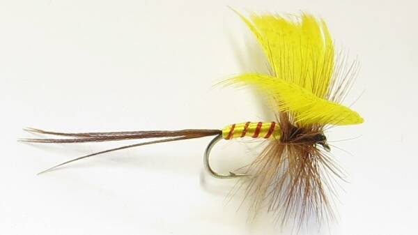 fp-mayfly-dry-standard.jpg