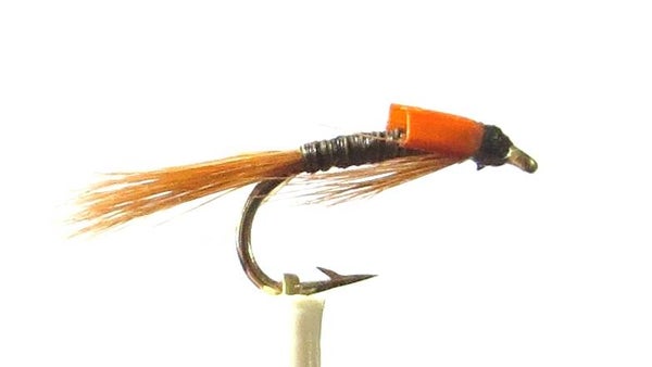 Diawl Bach Ginger Bits #12