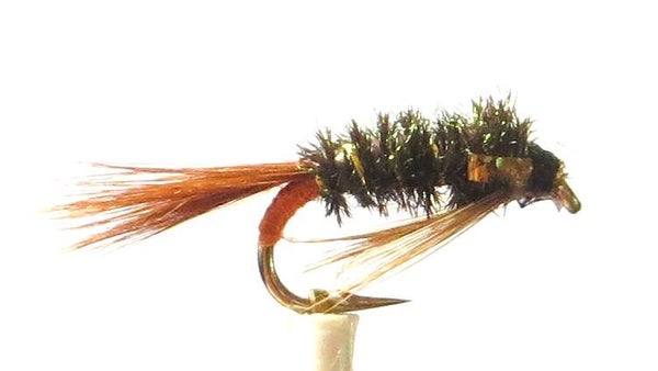 Diawl Bach Gold Cheeks #12