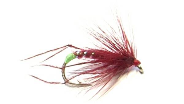 Hopper Claret #12