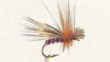 Deer Hair Sedge #12