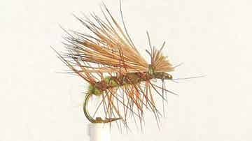 Elk Hair Sedge #12