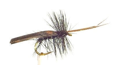 Horned Sedge Black #16