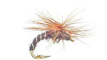 Klinkhamer Black #12