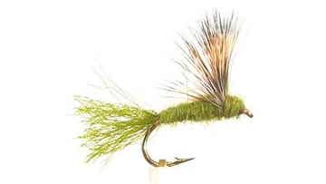 Olive Sparkle Dun #12