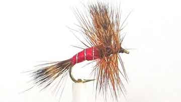 Wulff Red #12