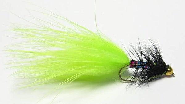 Dog Nobler Black Lime #10
