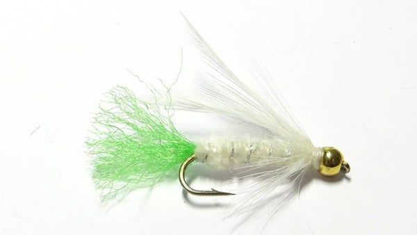 White Viva GH #10