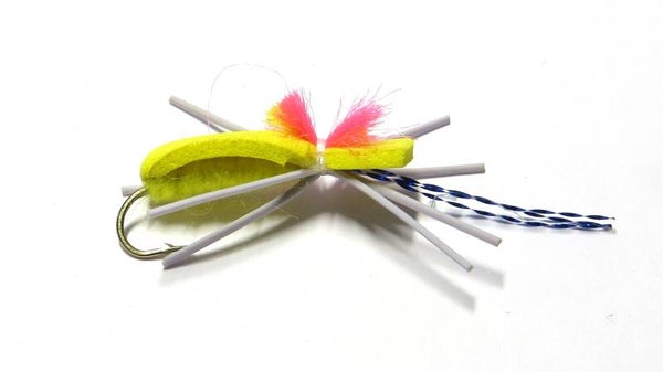 Foam Beetle Yellow #10