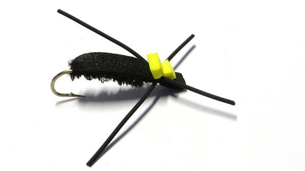 Foam Beetle Black #10