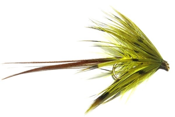 Corrib Olive Partridge #10