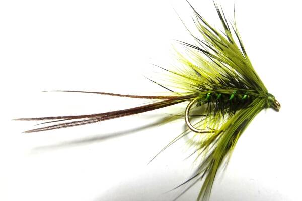 Rush's Mayfly #10